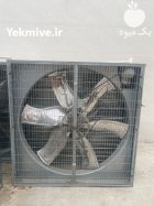 لوازم مرغداری در بندرگناوه در گروه تجهیزات مرغداری در یکمیوه