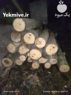 فروش چوب وزم یا همان نارون در پره سر در گروه خرید و فروش انواع چوب در یکمیوه