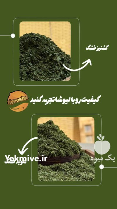 تولیدی لیمو خشک و سبزیجات خشک لیوشا در سعادت شهر در گروه خرید و فروش میوه خشک در یکمیوه -عکس3