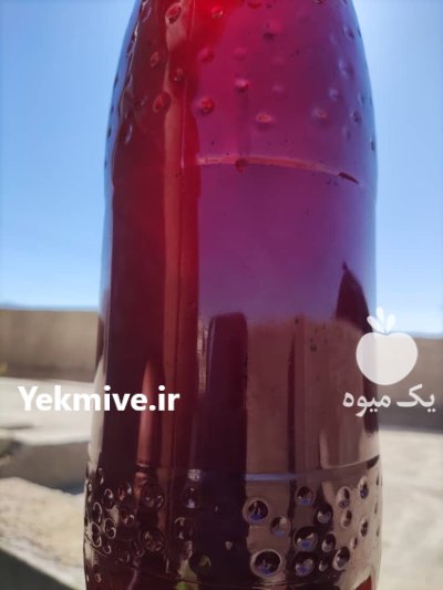 سرکه چوب درصد خالص طبیعی نماتد کش در شیراز در گروه خرید و فروش سرکه چوب در یکمیوه -عکس1