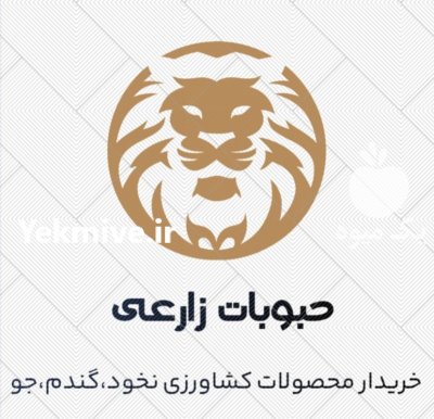 فروش انواع نخود آشی آبگوشتی فلافلی در کرمانشاه در گروه خرید و فروش غلات و حبوبات در یکمیوه -عکس2