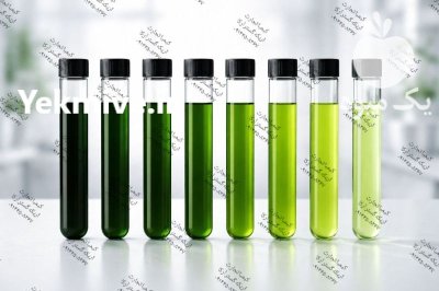 فروش رنگ خوراکی طبیعی کلروفیل مایع در تهران در گروه انواع آبمیوه ها و آبگیری ها در یکمیوه -عکس2