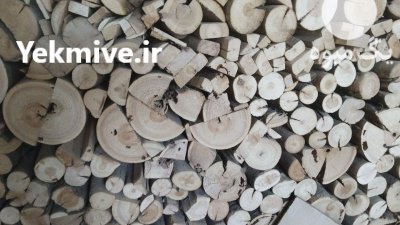 بانک چوب الات در شهرکرد در گروه خرید و فروش انواع چوب در یکمیوه -عکس4