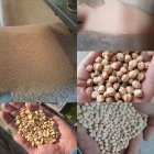 فروش انواع نخود آشی آبگوشتی فلافلی در کرمانشاه در گروه خرید و فروش غلات و حبوبات در یکمیوه