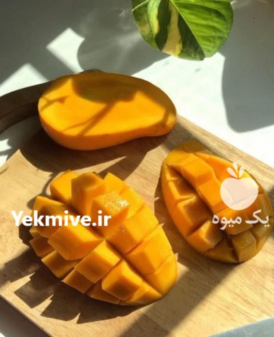 فروش اسانس انبه غذائی برند اولبریش در تهران در گروه انواع آبمیوه ها و آبگیری ها در یکمیوه -عکس2