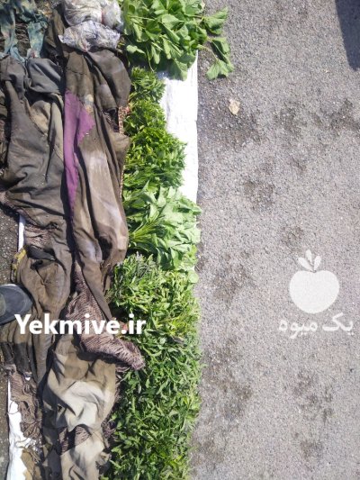 فروش شتیل نشا در کشکسرای در گروه خرید و فروش نشا در یکمیوه -عکس1