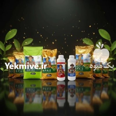 کود مخصوص گندم دانه های پر در تهران در گروه خرید و فروش انواع کود کشاورزی در یکمیوه -عکس1