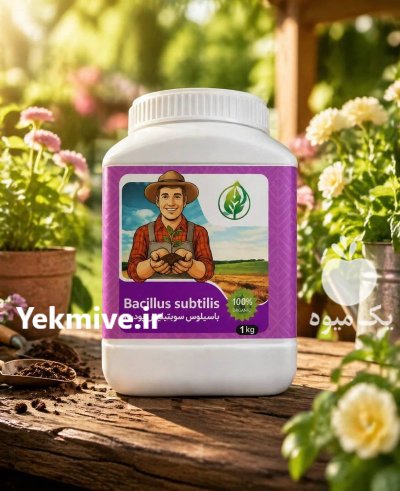 کود زیستی باسیلوس سوبیتلیس تکنولوژی کانادا در تهران در گروه خرید و فروش انواع کود کشاورزی در یکمیوه -عکس1