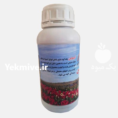 کود مایع آمینو اسیدی آمینولین در درچه پیاز در گروه خرید و فروش کود مایع در یکمیوه -عکس1