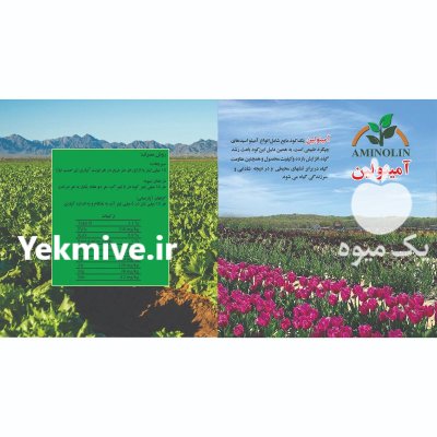 کود مایع آمینو اسیدی آمینولین در درچه پیاز در گروه خرید و فروش کود مایع در یکمیوه -عکس2