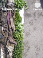 فروش شتیل نشا در کشکسرای در گروه خرید و فروش نشا در یکمیوه
