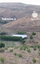 ورق ژئومببران و ژئوتکستایل در اصفهان در گروه خرید و فروش ژئوممبران و ژئوتکستایل در یکمیوه