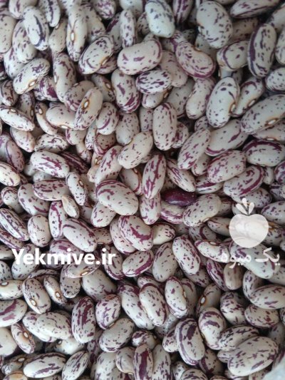 لوبیا چیتی ازبکستان در ترکمن در گروه خرید و فروش غلات و حبوبات در یکمیوه -عکس1