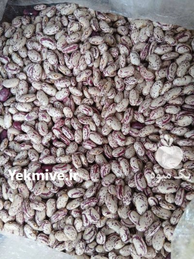 لوبیا چیتی ازبکستان در ترکمن در گروه خرید و فروش غلات و حبوبات در یکمیوه -عکس2