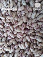 لوبیا چیتی ازبکستان در ترکمن در گروه خرید و فروش غلات و حبوبات در یکمیوه