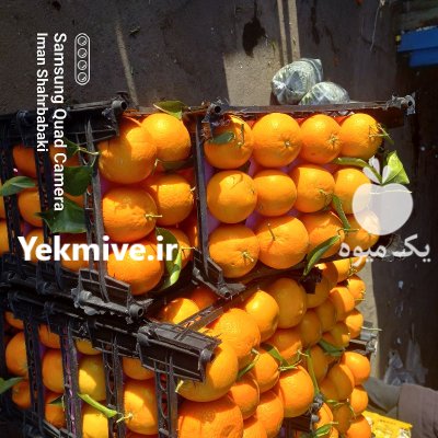 غرفه دارم آماده همکاری با باربارکن در رفسنجان در گروه بار بارکن محصولات کشاورزی در یکمیوه -عکس4