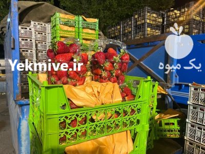 بارفروشی حق و العمل کاری محمد جمشیدی در اراک در گروه بارفروشی محصولات کشاورزی در یکمیوه -عکس4