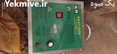 دستگاه رنگ آوری خرمالو موز مرکبات در آستارا در گروه خرید و فروش دستگاه کشاورزی در یکمیوه -عکس1