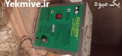 دستگاه رنگ آوری خرمالو موز مرکبات در آستارا در گروه خرید و فروش دستگاه کشاورزی در یکمیوه -عکس3