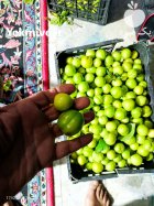 گوجه سبز در فومن در گروه خرید و فروش آلو در یکمیوه