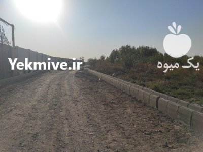 فروش باغ میوه در اسلامشهر در گروه خرید و فروش باغ و باغچه در یکمیوه -عکس4