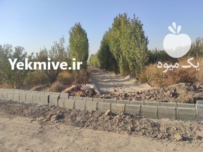 فروش باغ میوه در اسلامشهر در گروه خرید و فروش باغ و باغچه در یکمیوه -عکس3