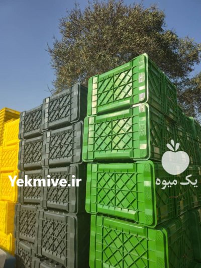 سبد ماهی و فلفل دلمه ایی در تهران در گروه خرید و فروش انواع سبد در یکمیوه -عکس1