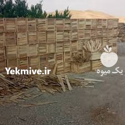 فروش جعبه چوبی میوه در ساری در گروه خرید و فروش بسته بندی چوبی در یکمیوه -عکس1