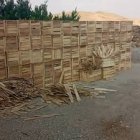 فروش جعبه چوبی میوه در ساری در گروه خرید و فروش بسته بندی چوبی در یکمیوه