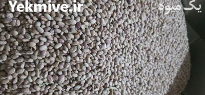 فروش لوبیا چیتی بوجار شده در تهران در گروه خرید و فروش غلات و حبوبات در یکمیوه -عکس1