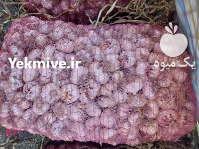 سیر خندان 3 تن و سیر سورت شده در پارس آباد در گروه خرید و فروش سیر در یکمیوه -عکس2