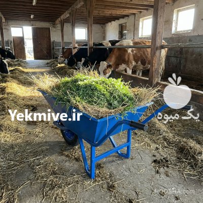 فرغون دامداری در نجف آباد در گروه تجهیزات دامداری در یکمیوه -عکس2