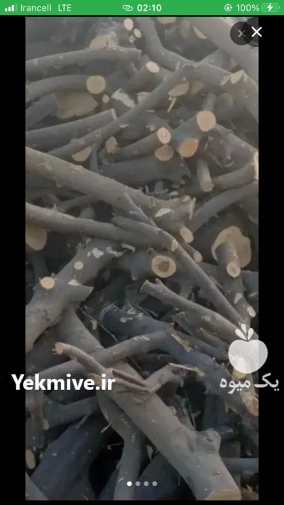خریدار چوب مرکبات جنوب و چوب پسته در کرمان  در گروه خرید و فروش چوب مرکبات در یکمیوه -عکس1