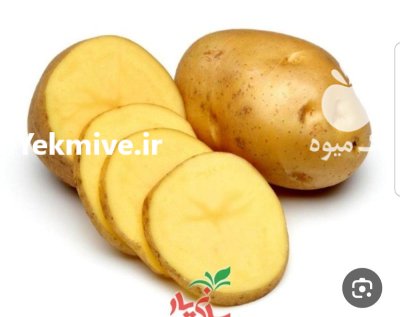 سیب زمینی آگریا در اصفهان در گروه خرید و فروش سیب زمینی در یکمیوه -عکس1