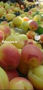 عرضه مستقیم انواع میوه جات وسیعی در تهران در گروه بارفروشی محصولات کشاورزی در یکمیوه