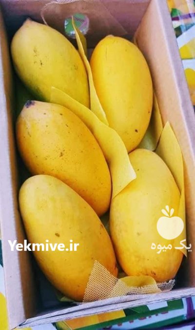 حق العمل کاری و بار فروشی در شیراز در گروه حق العمل کاری محصولات کشاورزی در یکمیوه -عکس1