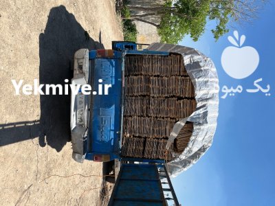 دری جعبه کاهو درب سبد کاهو در کرج در گروه خرید و فروش انواع سبد در یکمیوه -عکس1