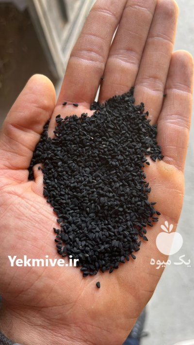 سیاهدانه سورت در گرگان در گروه خرید و فروش گیاهان دارویی در یکمیوه -عکس1