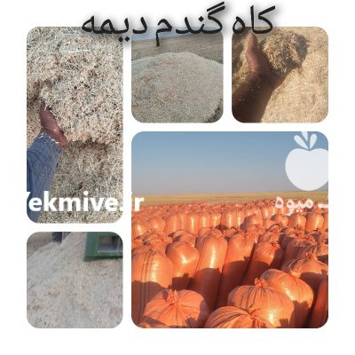 کاه گندم دیم در سرخس در گروه خوراک دام و طیور در یکمیوه -عکس1