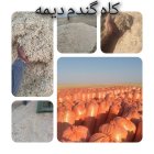 کاه گندم دیم در سرخس در گروه خوراک دام و طیور در یکمیوه