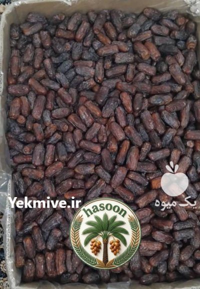 فروش خرمای تازه درجه یک مستقیم در اهواز در گروه خرید و فروش خرما در یکمیوه -عکس1