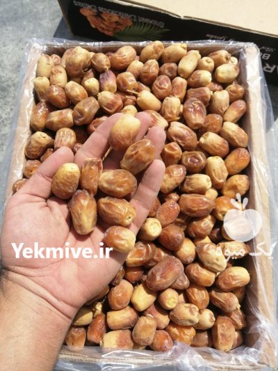 فروش خرمای تازه درجه یک مستقیم در اهواز در گروه خرید و فروش خرما در یکمیوه -عکس2