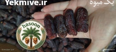 فروش خرمای تازه درجه یک مستقیم در اهواز در گروه خرید و فروش خرما در یکمیوه -عکس3