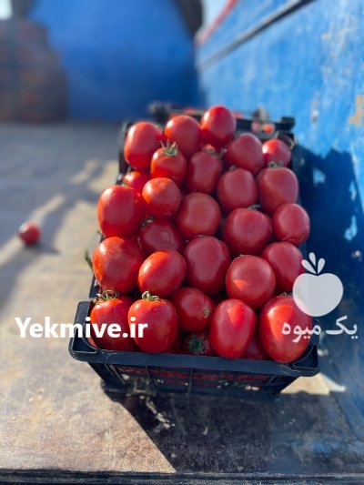 بارفروشی میدان تره بار شهرکرد در چهارمحال و بختیاری در گروه بارفروشی محصولات کشاورزی در یکمیوه -عکس2