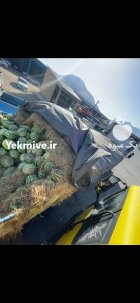 بارفروشی میدان تره بار شهرکرد در چهارمحال و بختیاری در گروه بارفروشی محصولات کشاورزی در یکمیوه
