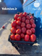 خربزه گوجه هندوانه انگور و… در شهرکرد در گروه خرید و فروش هندوانه در یکمیوه