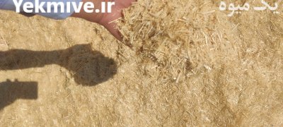 کاه جو در دبیران در گروه خوراک دام و طیور در یکمیوه -عکس1