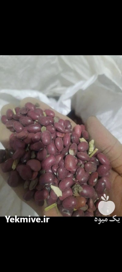 لوبیا قرمز یاقوتی در فولادشهر در گروه خرید و فروش غلات و حبوبات در یکمیوه -عکس1