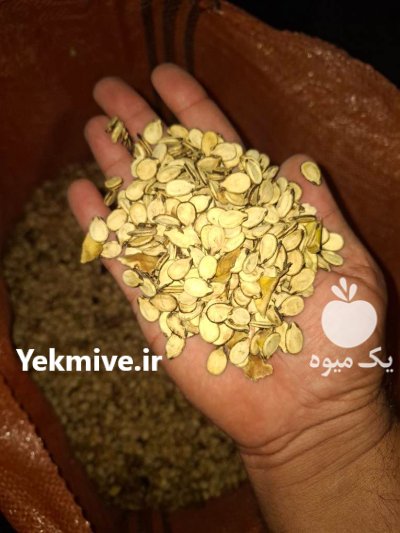 فروش عمده تخمه هندوانه در شیراز در گروه خرید و فروش انواع تخمه در یکمیوه -عکس1