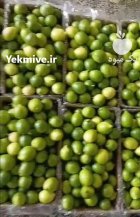 لیمو ترش در تهران در گروه خرید و فروش لیمو ترش در یکمیوه
